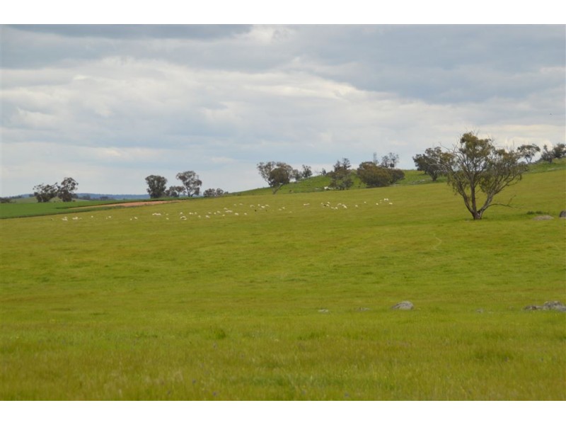 Twosey 96 Whitakers Lane, Marrar via, Wagga Wagga NSW 2650