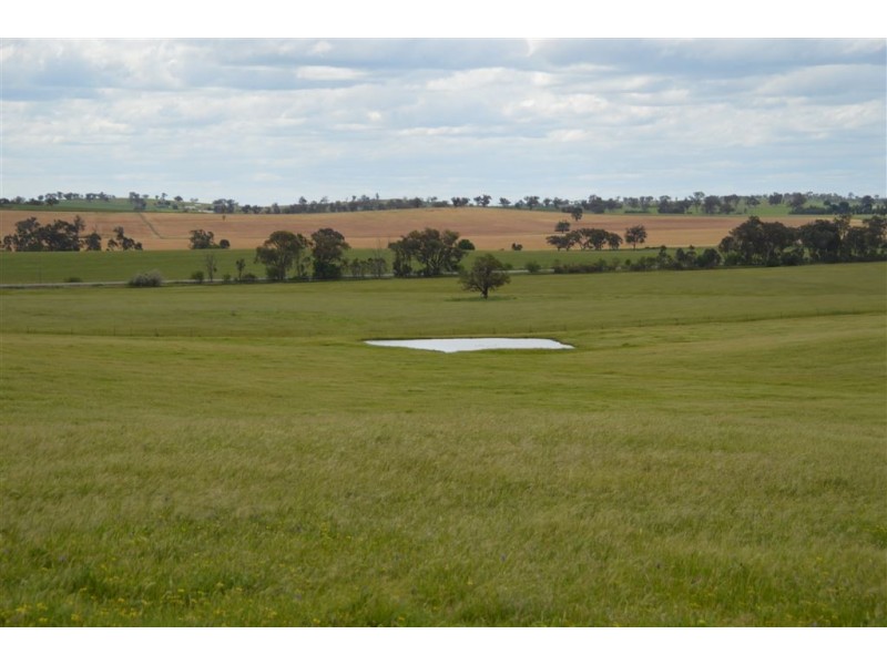 Twosey 96 Whitakers Lane, Marrar via, Wagga Wagga NSW 2650