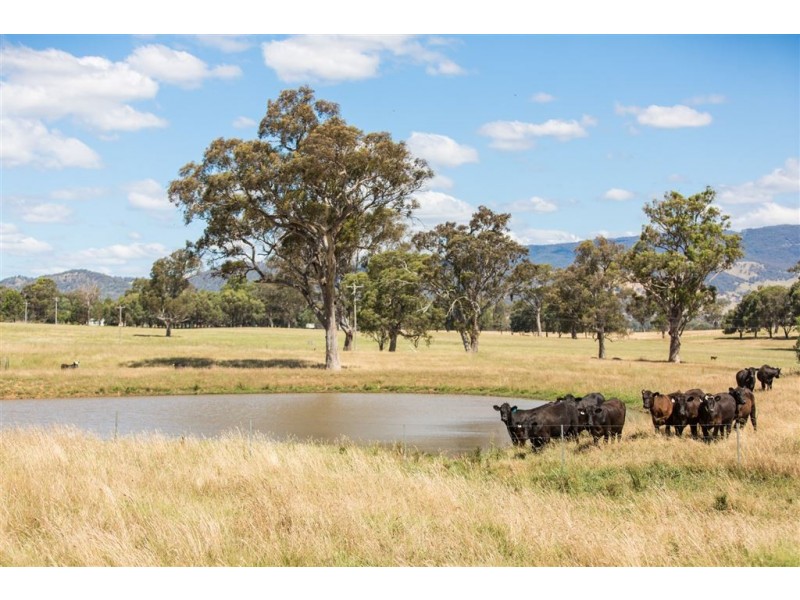 392 Lacmalac Road, Tumut NSW 2720