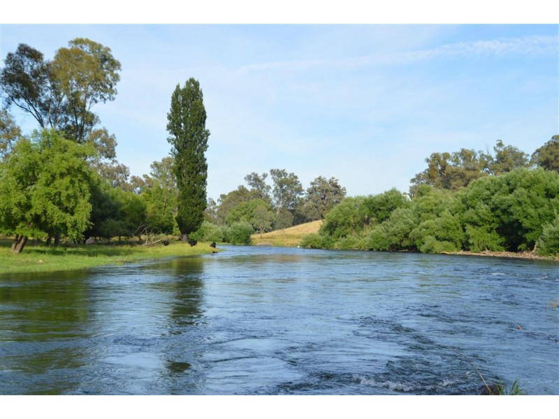 392 Lacmalac Road, Tumut NSW 2720