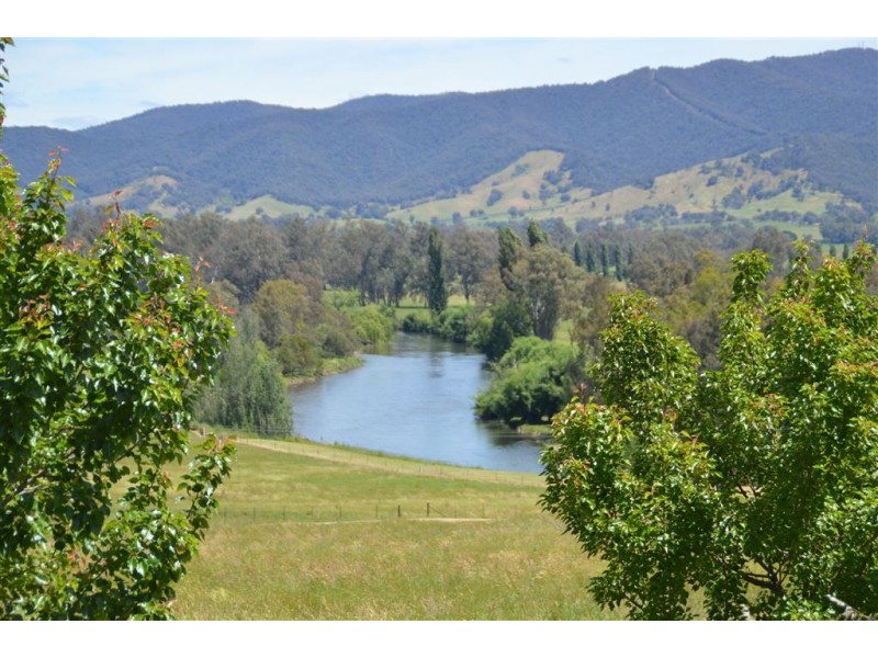 392 Lacmalac Road, Tumut NSW 2720