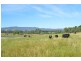 392 Lacmalac Road, Tumut NSW 2720