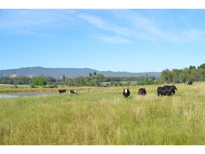 392 Lacmalac Road, Tumut NSW 2720