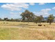 392 Lacmalac Road, Tumut NSW 2720