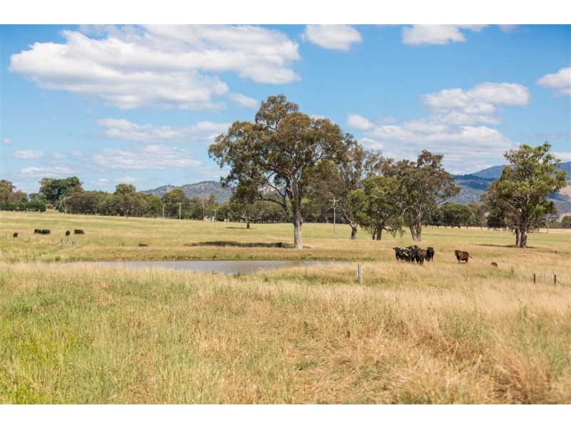 392 Lacmalac Road, Tumut NSW 2720