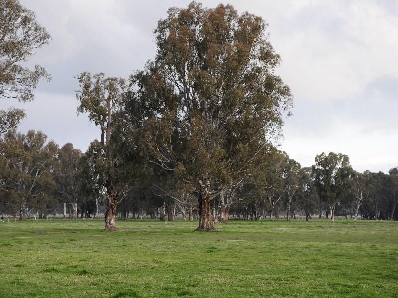 Lot 1 Glenrowan-Myrtleford Road, Laceby VIC 3678