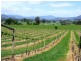 King Valley VIC 3678
