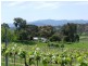 King Valley VIC 3678