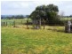 682 Upper Taminick Road, Taminick VIC 3675