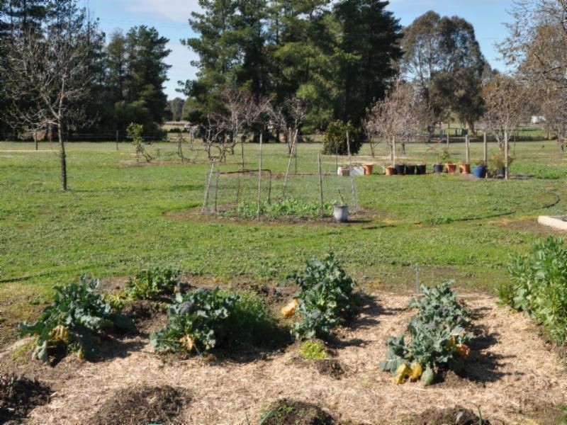 145 Colson Drive, Wangaratta VIC 3677