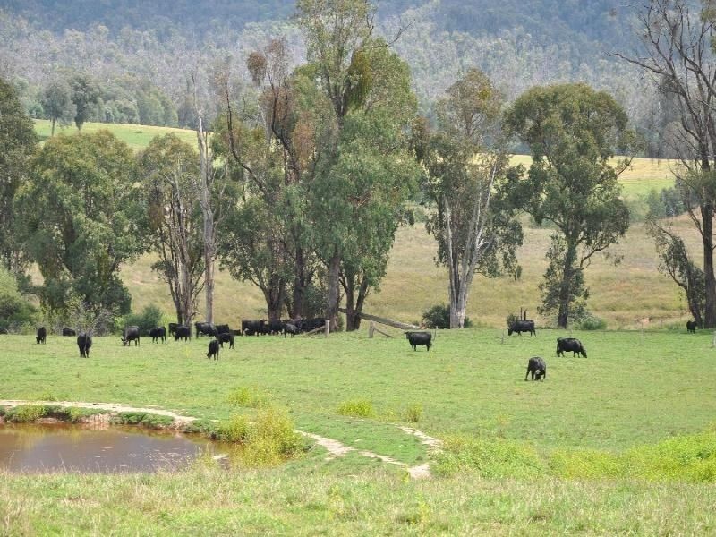 686 Lake Buffalo-Whitfield Road, Wangaratta VIC 3677