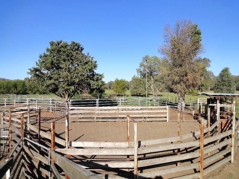 2336 Great Alpine Road, Wangaratta VIC 3677