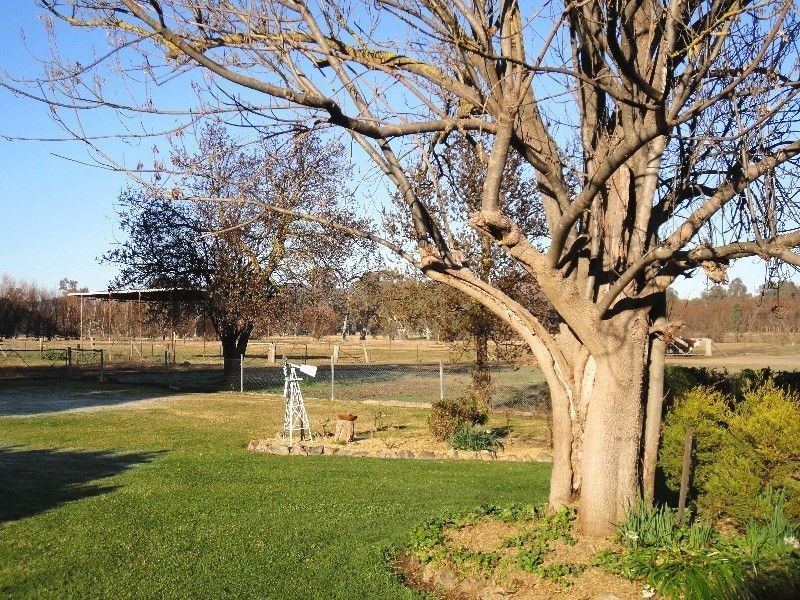 2336 Great Alpine Road, Wangaratta VIC 3677