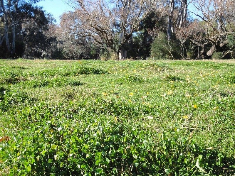 2336 Great Alpine Road, Wangaratta VIC 3677