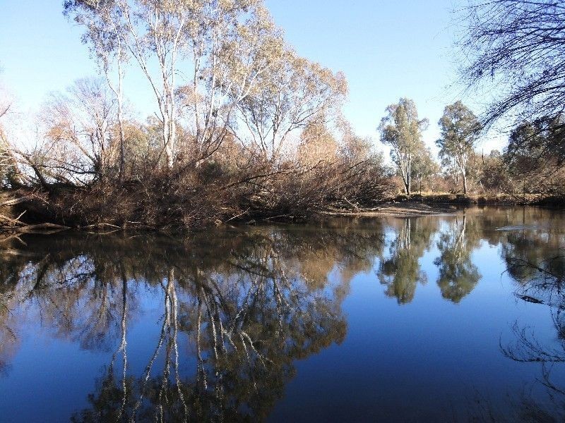 2336 Great Alpine Road, Wangaratta VIC 3677