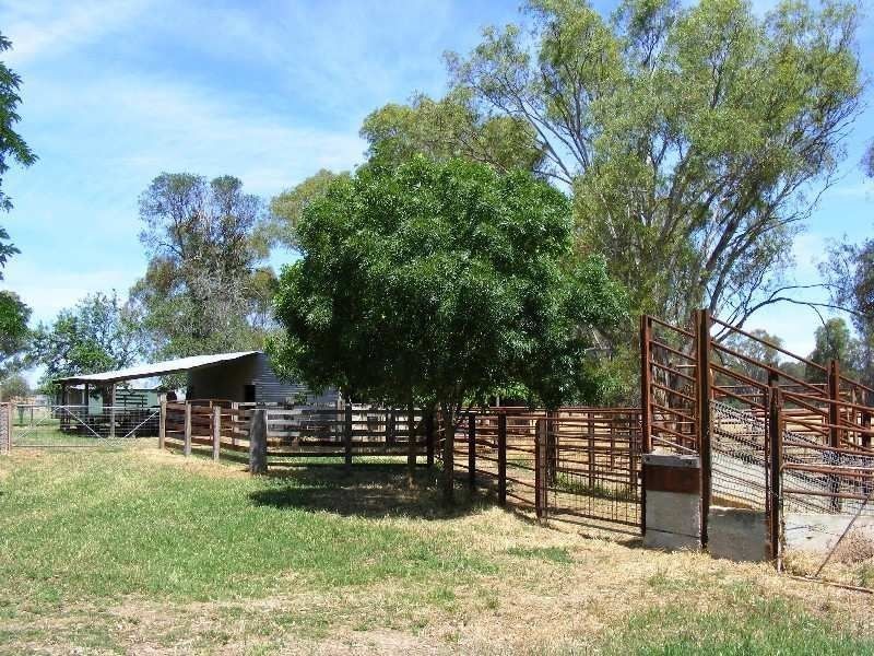 Wangaratta VIC 3677