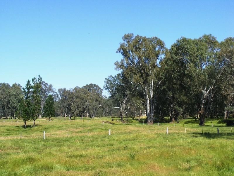 Wangaratta VIC 3677
