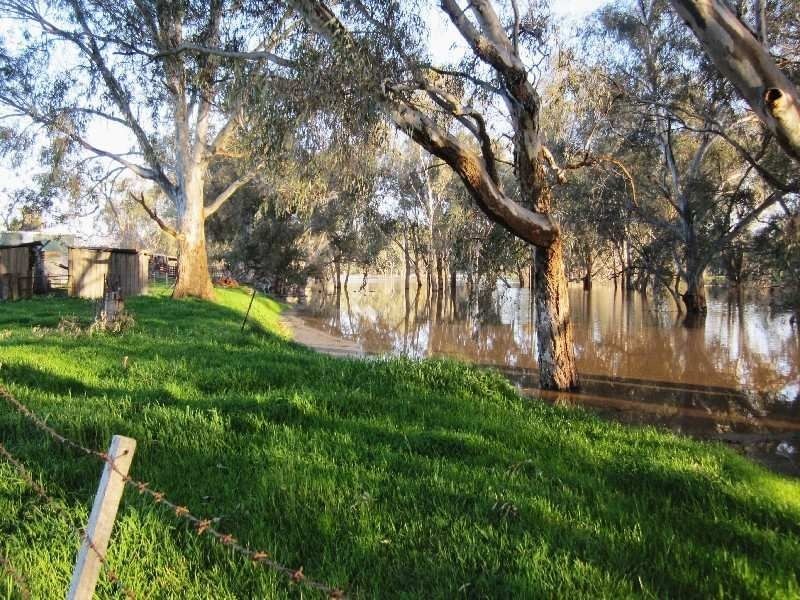Wangaratta VIC 3677