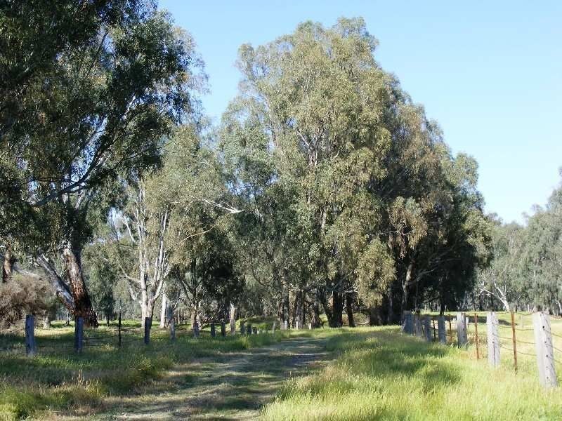 Wangaratta VIC 3677