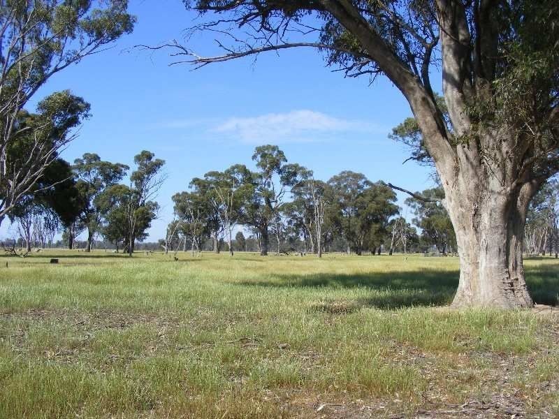 00 Jones Swamp Road, Peechelba East VIC 3678