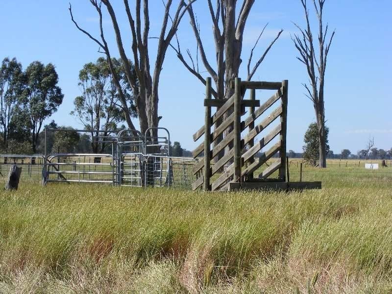 00 Jones Swamp Road, Peechelba East VIC 3678