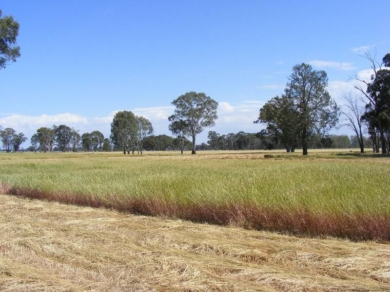 00 Jones Swamp Road, Peechelba East VIC 3678