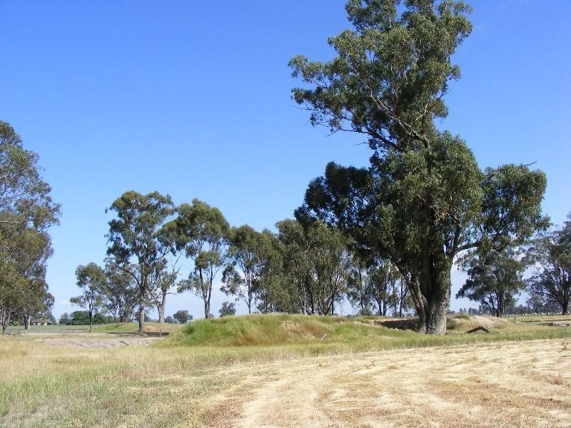 00 Jones Swamp Road, Peechelba East VIC 3678