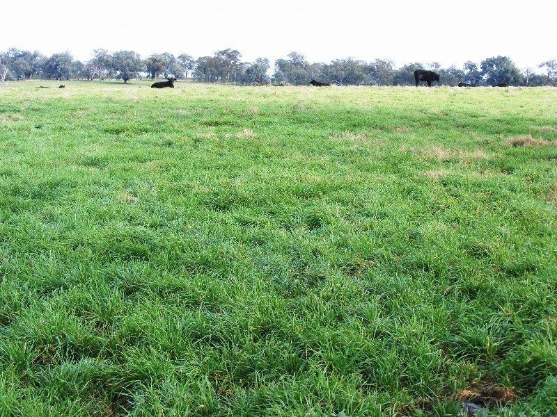 Tarrawingee VIC 3678