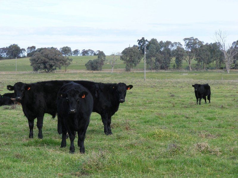 Tarrawingee VIC 3678