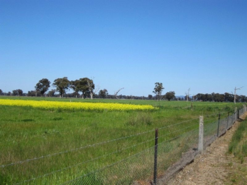 580 Carraragarmungee Estate Road, Byawatha VIC 3678