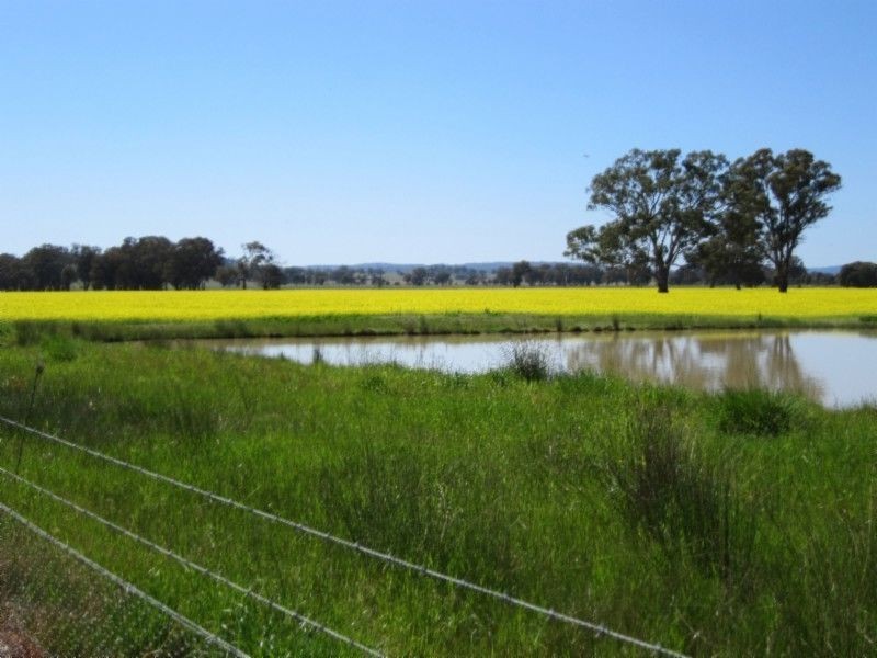 580 Carraragarmungee Estate Road, Byawatha VIC 3678