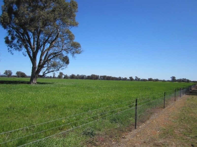 580 Carraragarmungee Estate Road, Byawatha VIC 3678