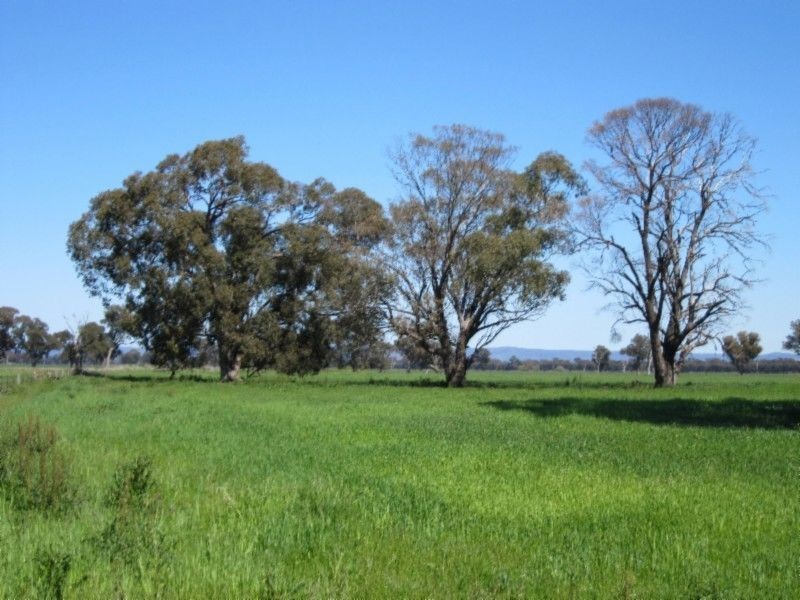 580 Carraragarmungee Estate Road, Byawatha VIC 3678