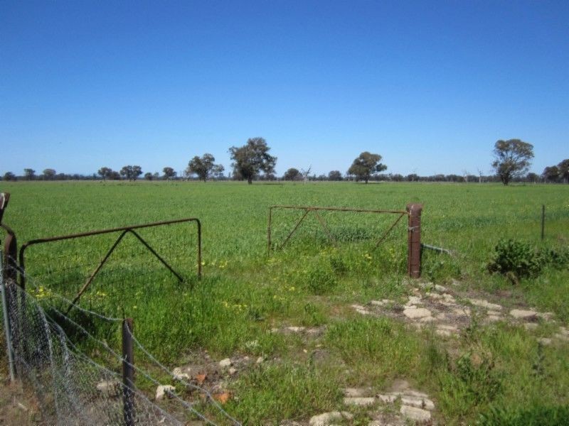 580 Carraragarmungee Estate Road, Byawatha VIC 3678