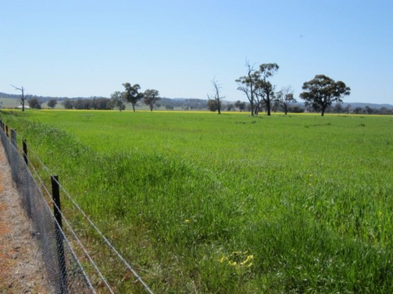 580 Carraragarmungee Estate Road, Byawatha VIC 3678