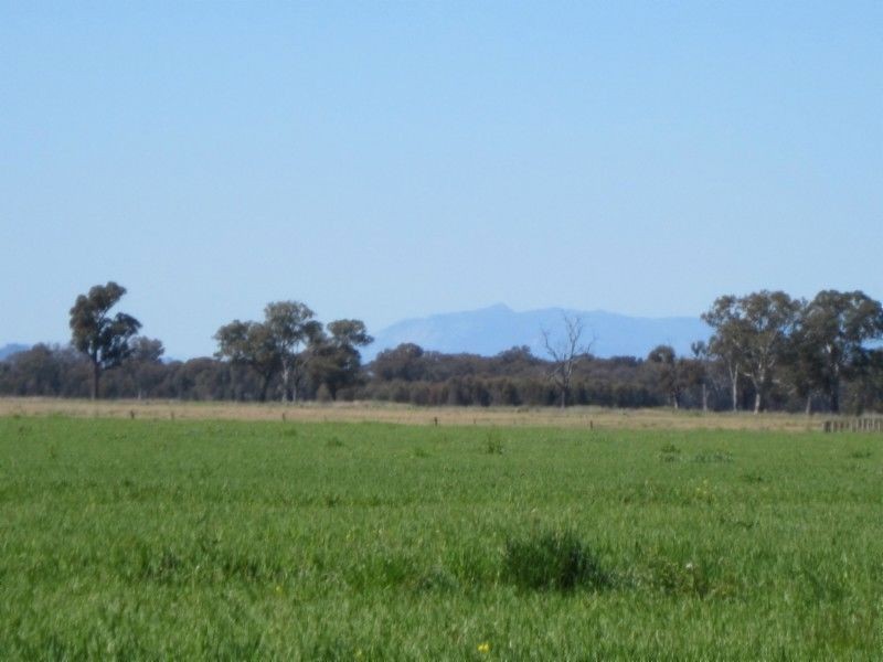 580 Carraragarmungee Estate Road, Byawatha VIC 3678