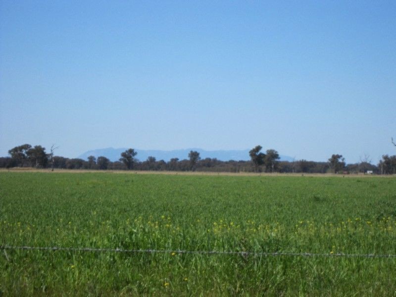 580 Carraragarmungee Estate Road, Byawatha VIC 3678