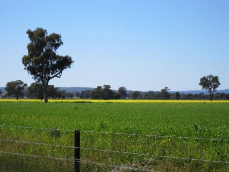 580 Carraragarmungee Estate Road, Byawatha VIC 3678