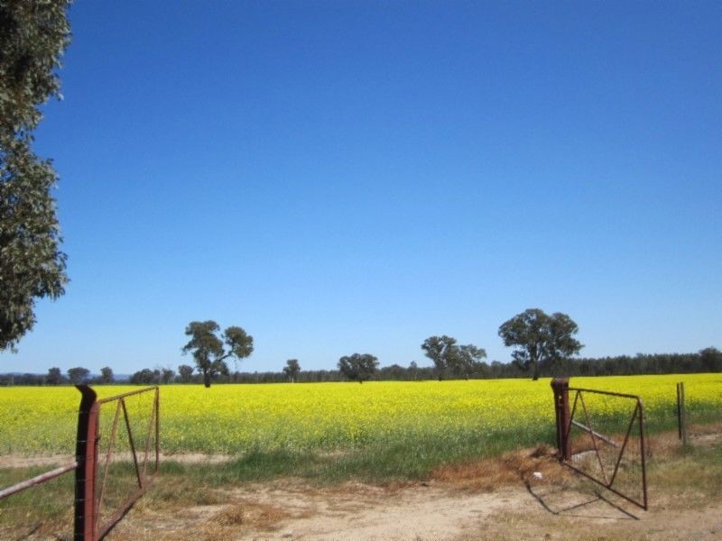 580 Carraragarmungee Estate Road, Byawatha VIC 3678