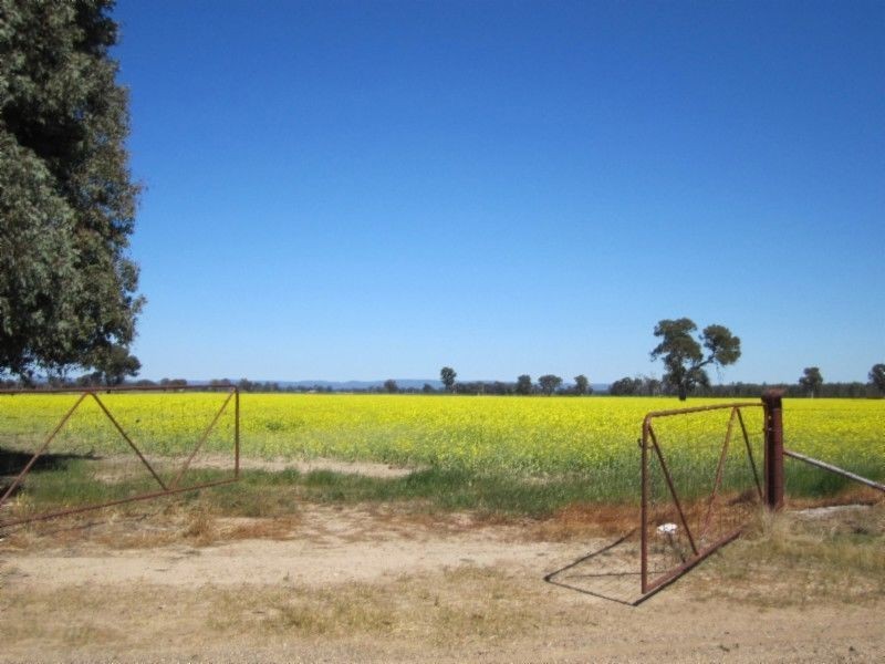 580 Carraragarmungee Estate Road, Byawatha VIC 3678