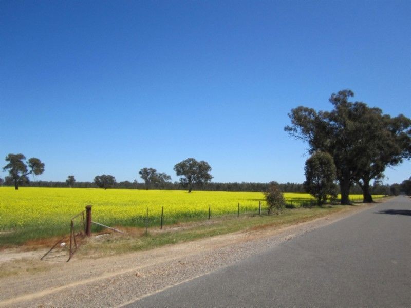 580 Carraragarmungee Estate Road, Byawatha VIC 3678