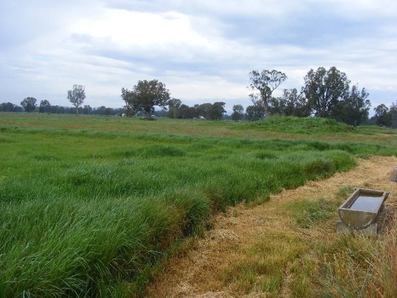 Greta West VIC 3675