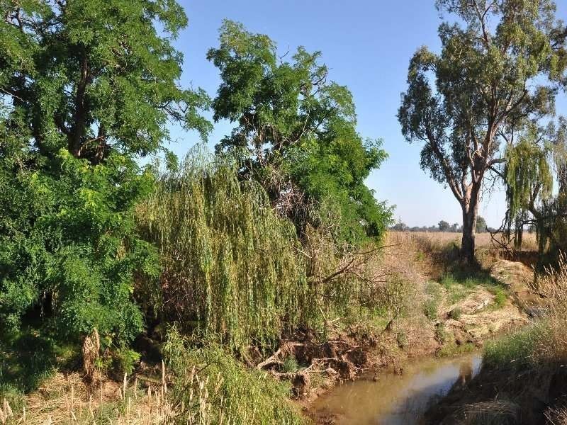 Lot 2 Youngers Lane, Wangaratta VIC 3677