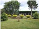 686 Lake-Buffalo Whitfield Road, Wangaratta VIC 3677