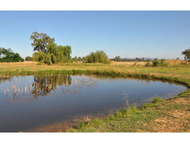 00 Youngers Lane, Hansonville VIC 3675