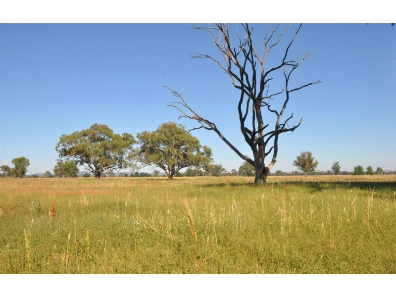 00 Youngers Lane, Hansonville VIC 3675