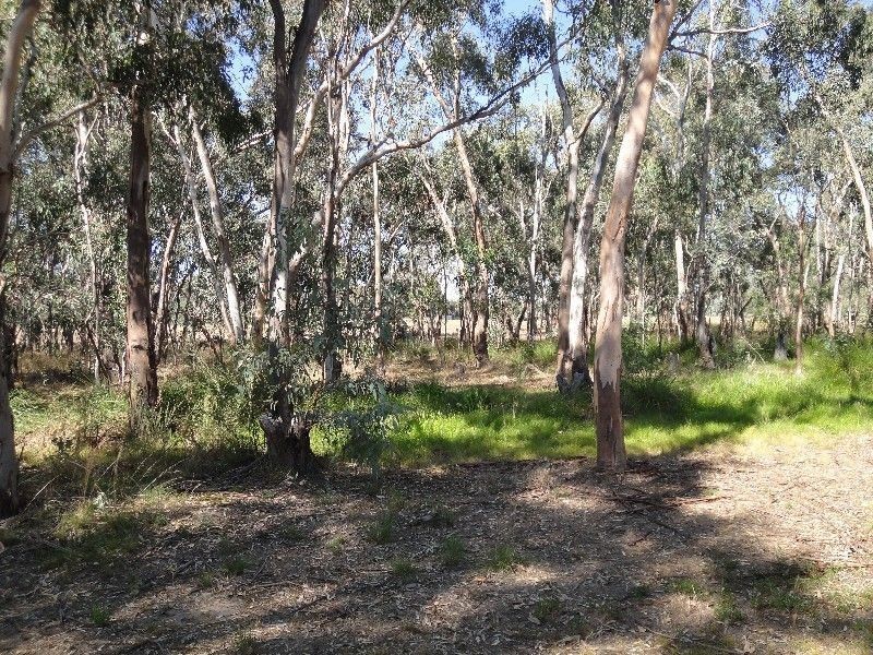 300 Warby Range Road, Glenrowan VIC 3675