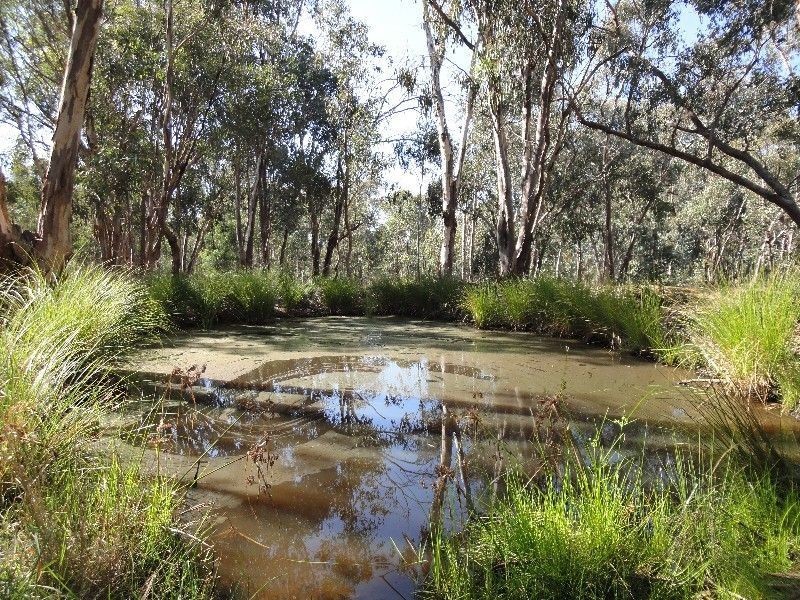 300 Warby Range Road, Glenrowan VIC 3675