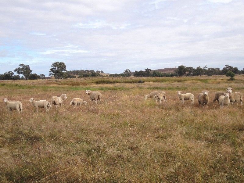 1235 Devenish – Wangaratta Road, Thoona VIC 3726