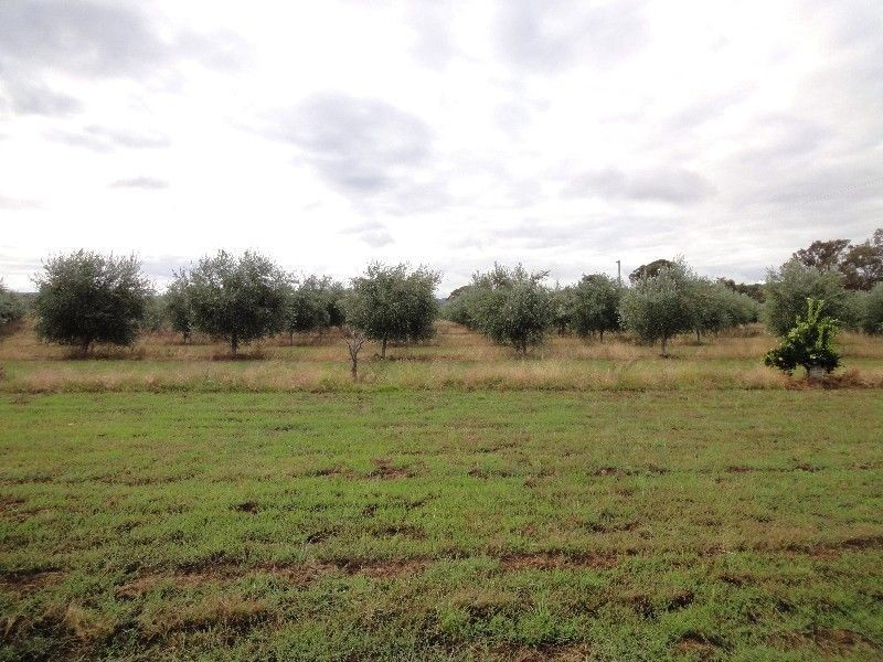 1235 Devenish – Wangaratta Road, Thoona VIC 3726